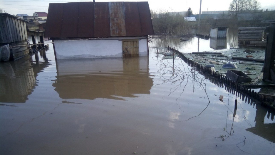 Наводнение в Заринске, 29 апреля 2015 года.