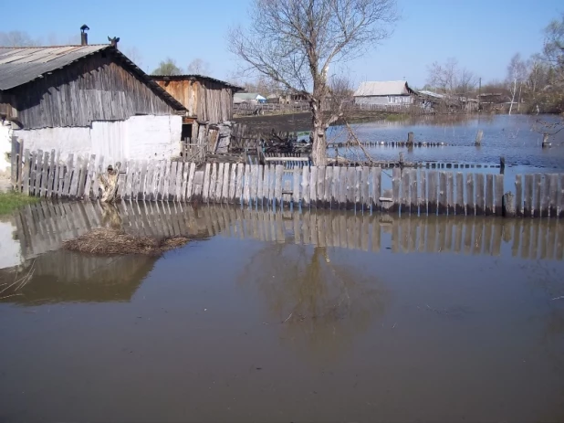 Погода шишкино алтайский край тальменский край