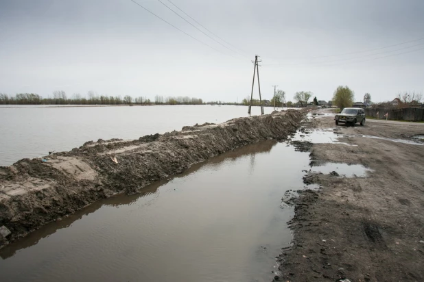 Паводок в Затоне, 30 апреля 2015 года.