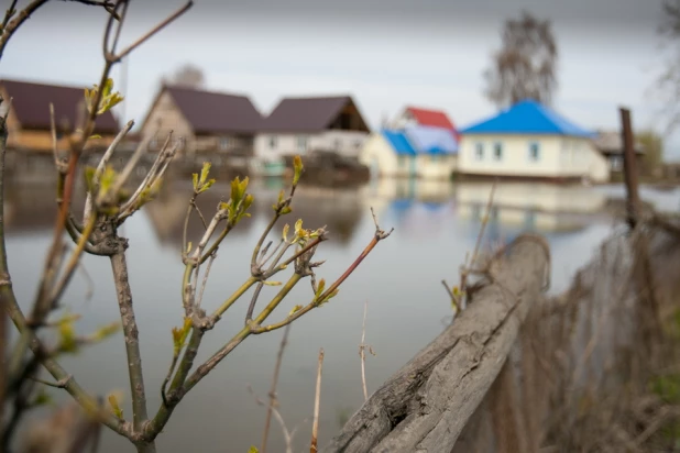 Паводок в Затоне, 30 апреля 2015 года.