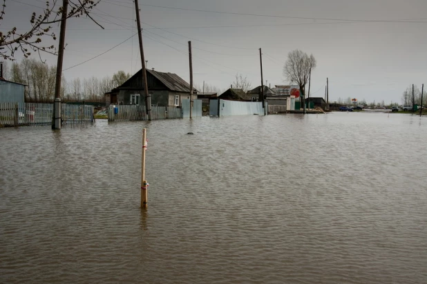 Паводок в Затоне, 30 апреля 2015 года.