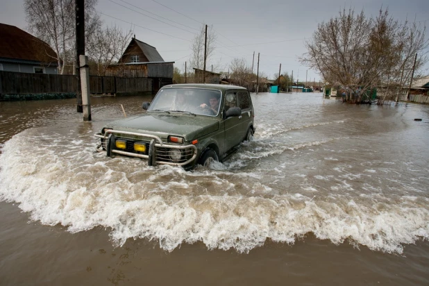 Паводок в Затоне, 30 апреля 2015 года.