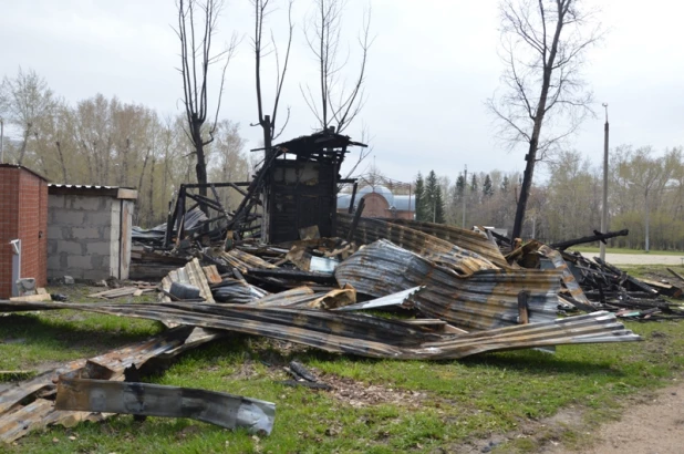 Монстрация в Новосибирске - 2015.