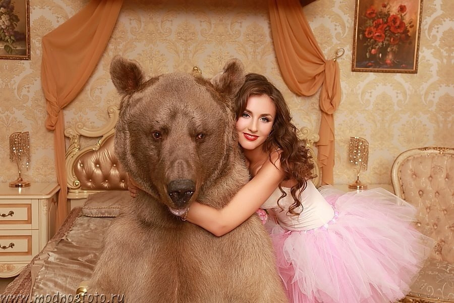 Знаменитый медведь Степан.