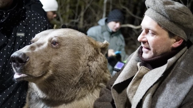 Знаменитый медведь Степан.