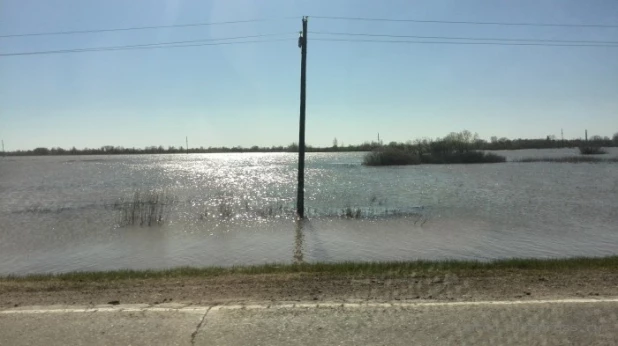 Перед Алейском разлилось "целое море" талой воды.