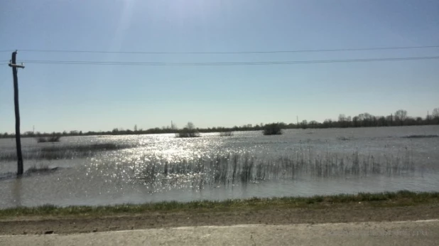 Перед Алейском разлилось "целое море" талой воды.