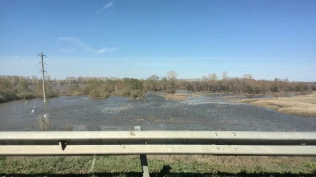 Перед Алейском разлилось "целое море" талой воды.