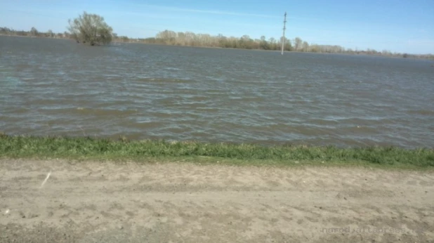 Перед Алейском разлилось "целое море" талой воды.