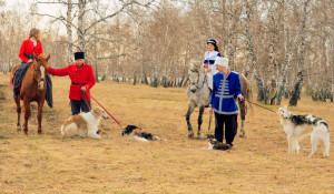 Прими участие в настоящей псовой охоте на Алтае.