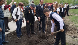 В Белокурихе высадили аллею ветеранов.