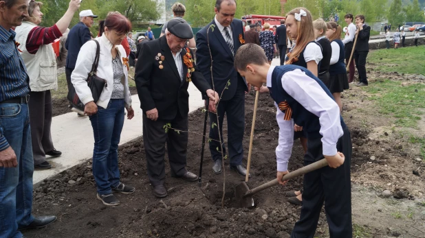 В Белокурихе высадили аллею ветеранов.