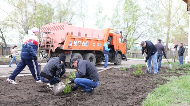 Работники "Алтай-Кокса" в честь 70-летия Великой Победы создали памятную аллею на Мемориале Славы.