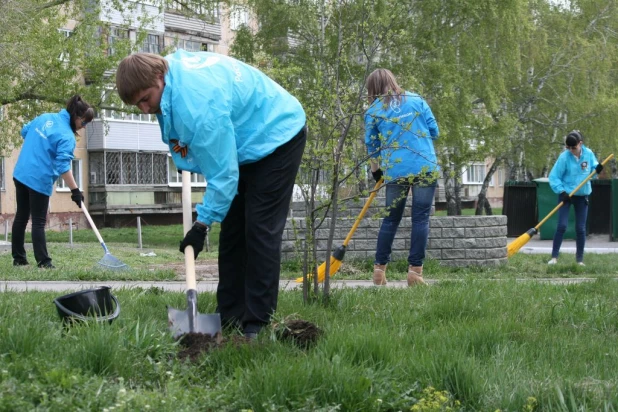  В Барнауле прошел субботник в Сквере связистов.