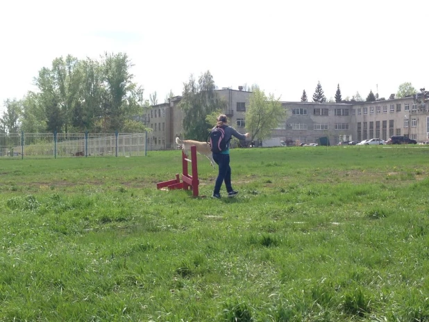 "Хвостатый полк". Барнаул, 10 мая 2015 г.