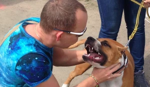 "Хвостатый полк". Барнаул, 10 мая 2015 г.