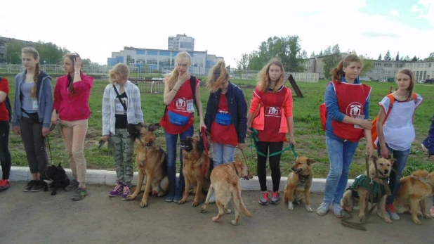 "Хвостатый полк". Барнаул, 10 мая 2015 г.