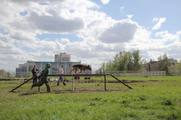 "Хвостатый полк". Барнаул, 10 мая 2015 г.