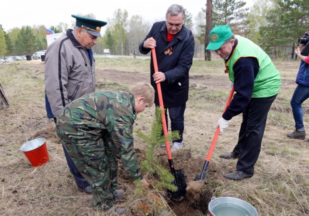 "Лес Победы" объединил все поколения.