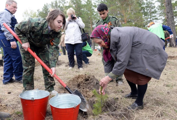 "Лес Победы" объединил все поколения.