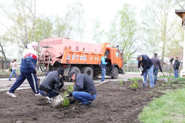 Посадка аллеи деревьев на заринском мемориале Славы.