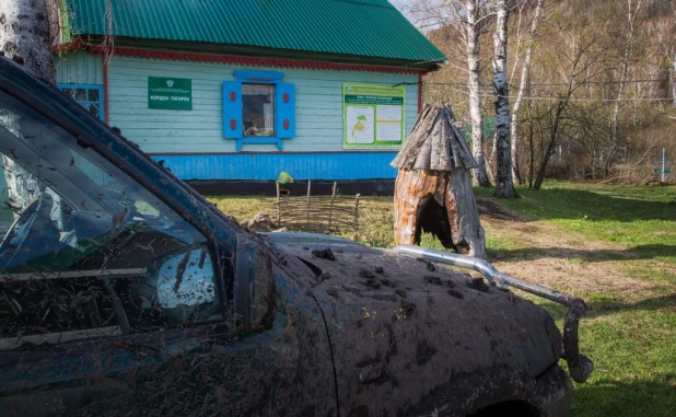 По пути в Тигирекский заповедник.