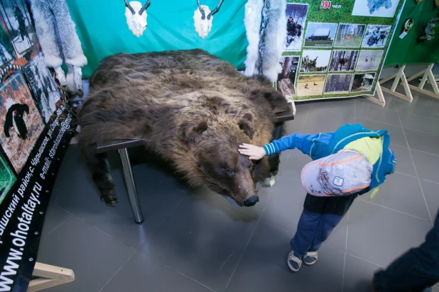 "Музейная ночь" в Барнауле. 16 мая 2015 года.