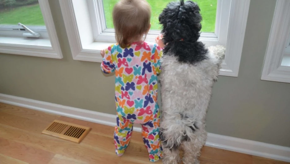 Дети и звери.