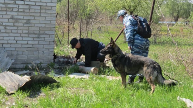 В Барнауле на речном порту у дачи нашли танковый снаряд