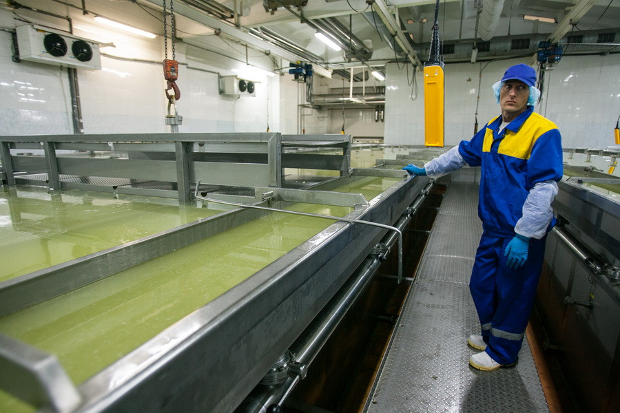 PepsiCo вложило в крупнейший на Алтае сырный завод 300 млн. рублей