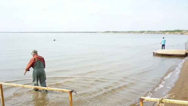 Водоемы Алтайского края готовят к началу пляжного сезона.