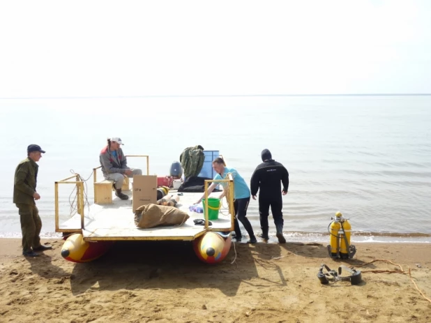 Водоемы Алтайского края готовят к началу пляжного сезона.