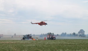 Широкомасштабные учения казахстанских и алтайских пожарных по тушению природных возгораний на приграничных территориях.