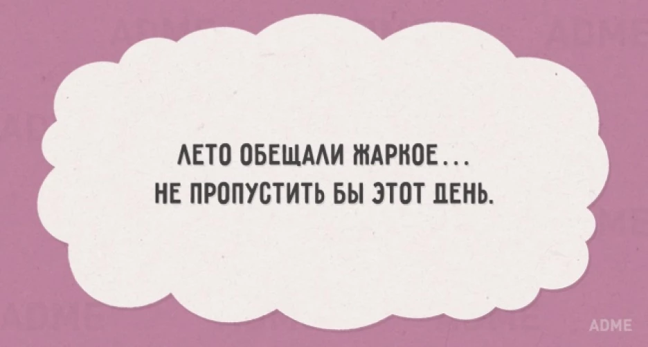 Легла спать с мокрой головой. Смешные фразы про лето. Смешные цитаты про лето. Анекдоты про лето. Статусы про лето.