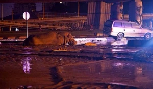 Наводнение в Грузии. Тбилиси, июнь 2015.