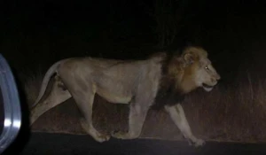 Наводнение в Грузии. Тбилиси, июнь 2015.