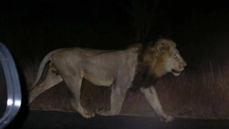 Наводнение в Грузии. Тбилиси, июнь 2015.