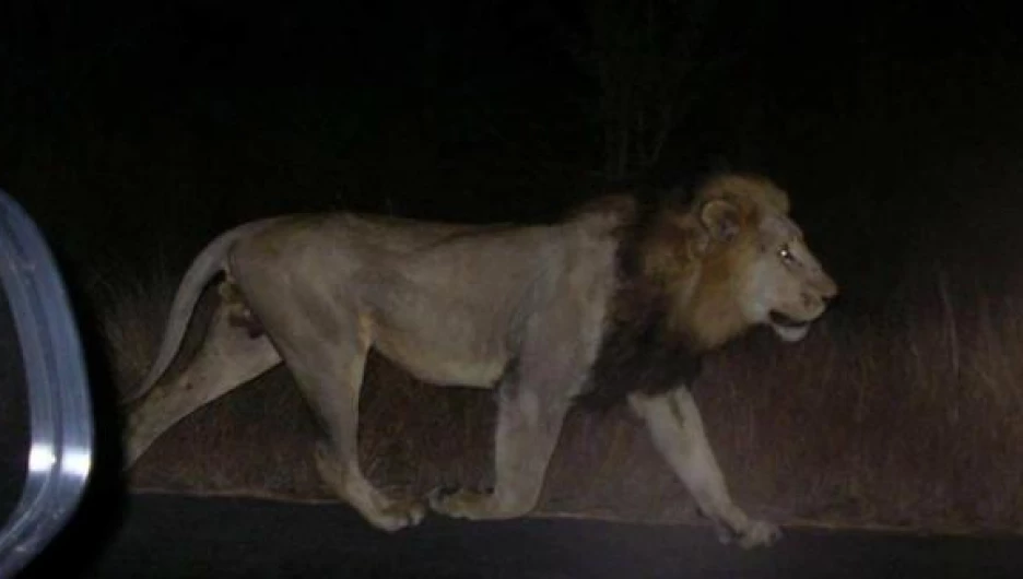 Наводнение в Грузии. Тбилиси, июнь 2015.