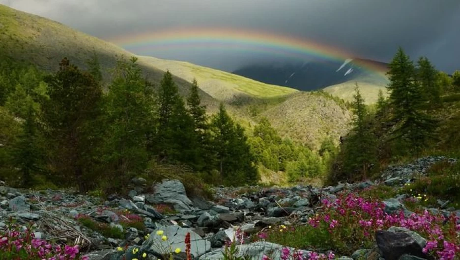 Где отдохнуть дешево и с комфортом?