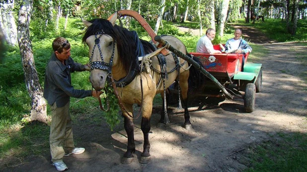 База отдыха "Русский Дом".