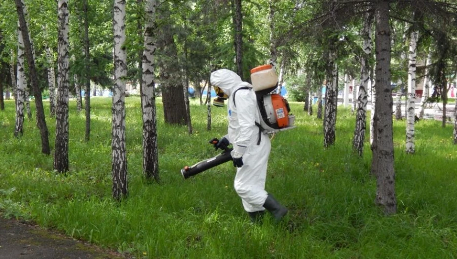 Избавьтесь от назойливых насекомых .