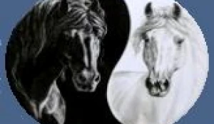 Клуб верховой езды "Тандем"