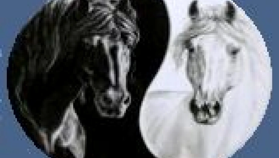 Клуб верховой езды "Тандем"