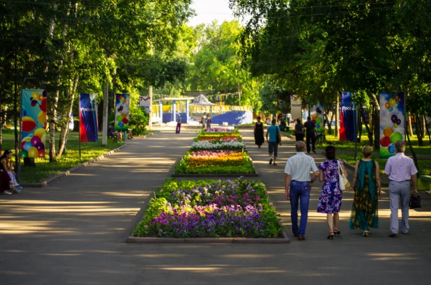 Будущий рекреационный комплекс "Парк Центрального района с аптекарским садом" в Барнауле. Июнь, 2015.