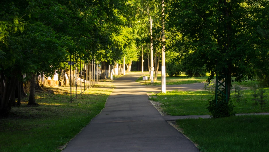 Будущий рекреационный комплекс "Парк Центрального района с аптекарским садом" в Барнауле. Июнь, 2015.