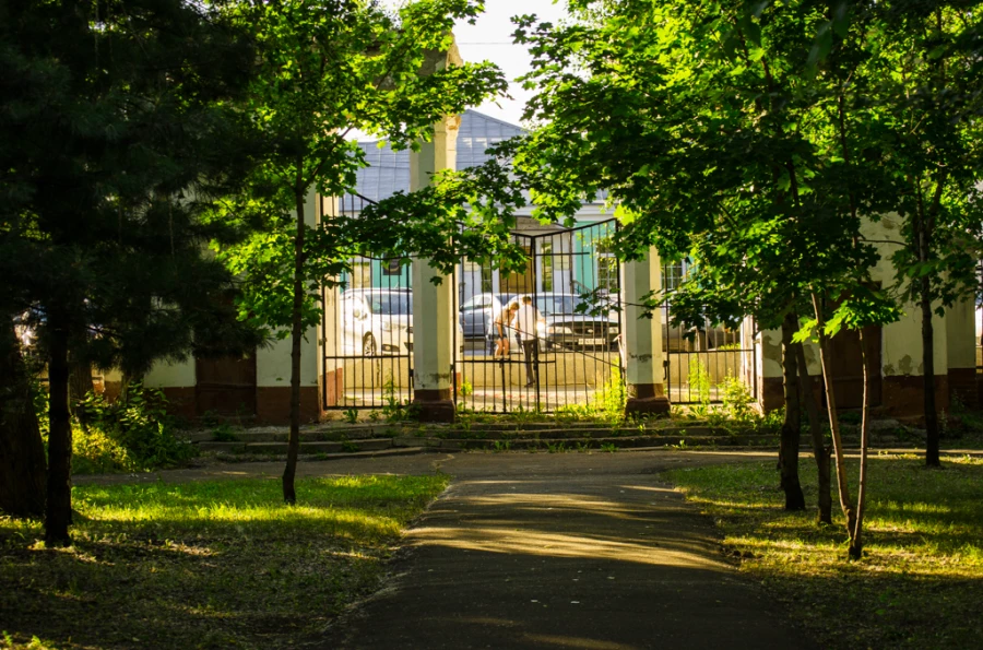 Будущий рекреационный комплекс &quot;Парк Центрального района с аптекарским садом&quot; в Барнауле. Июнь, 2015.