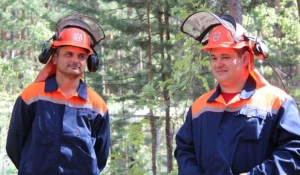 На Алтае хотят интенсивнее омолаживать леса.