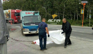 В Новосибирской области алтайский водитель стал виновником гибели пешехода.