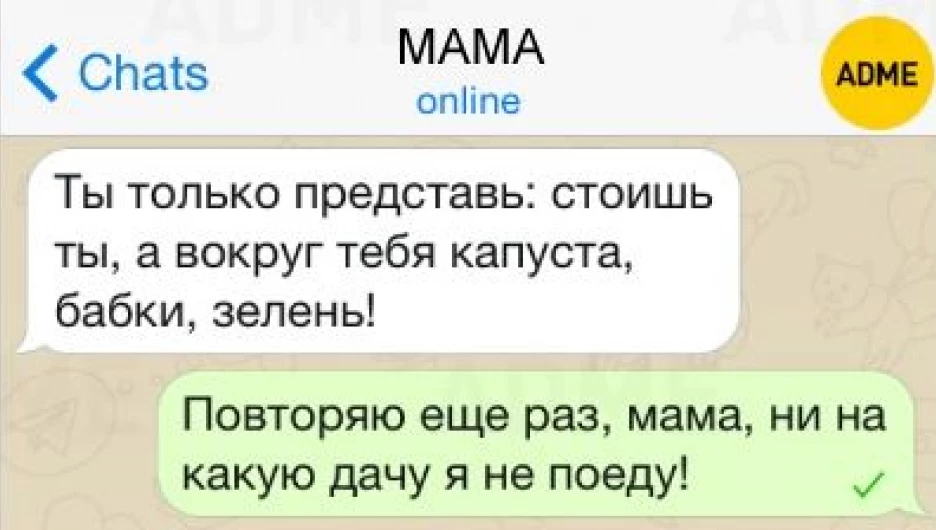 15 СМС от детей, которые вовсю отрываются на каникулах.