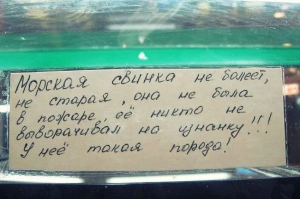 Даже боюсь представить это чудовище.